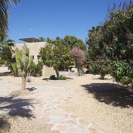 Sole Caliente Villa Todos Santos Dış mekan fotoğraf