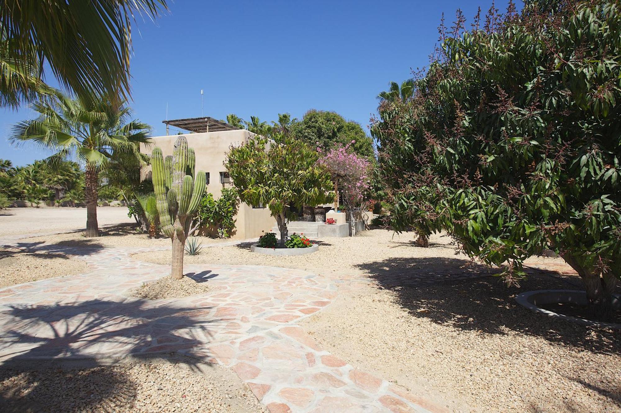 Sole Caliente Villa Todos Santos Dış mekan fotoğraf