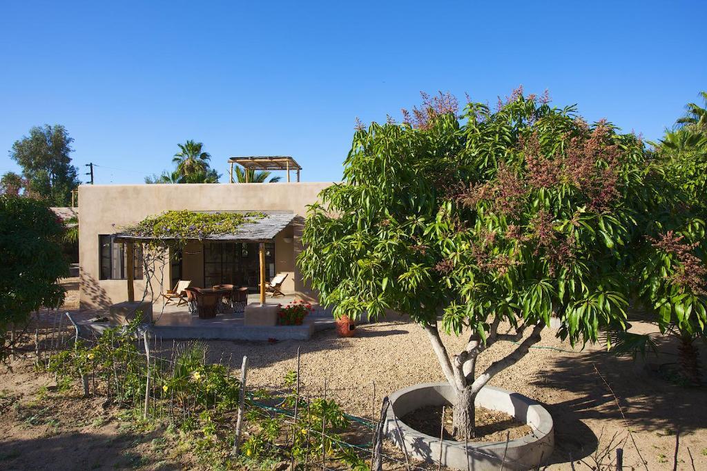 Sole Caliente Villa Todos Santos Dış mekan fotoğraf
