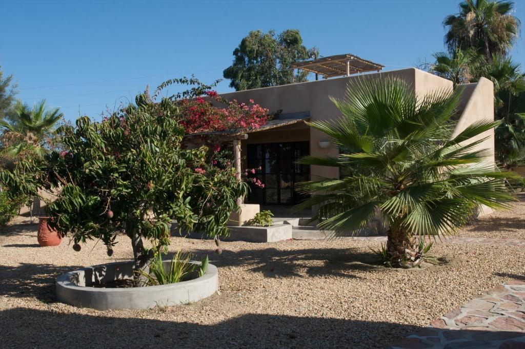 Sole Caliente Villa Todos Santos Dış mekan fotoğraf