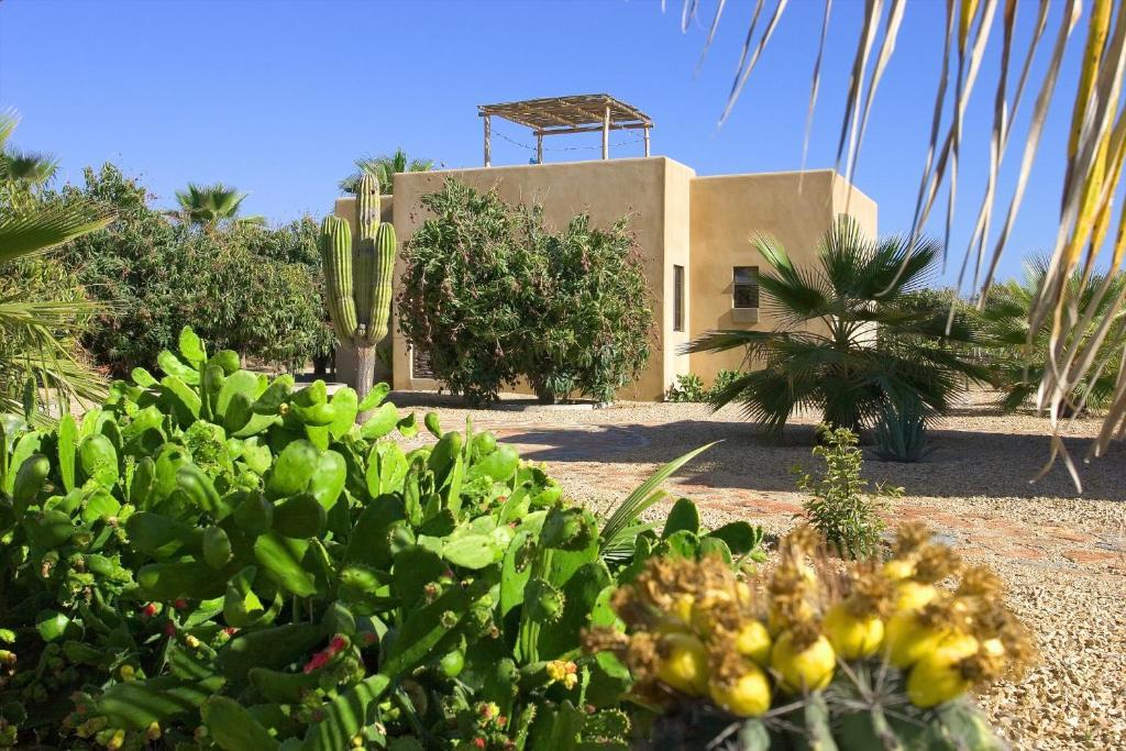 Sole Caliente Villa Todos Santos Dış mekan fotoğraf