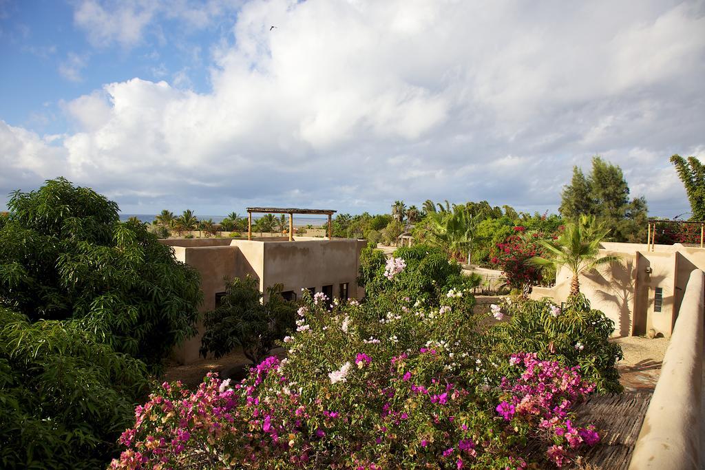 Sole Caliente Villa Todos Santos Dış mekan fotoğraf