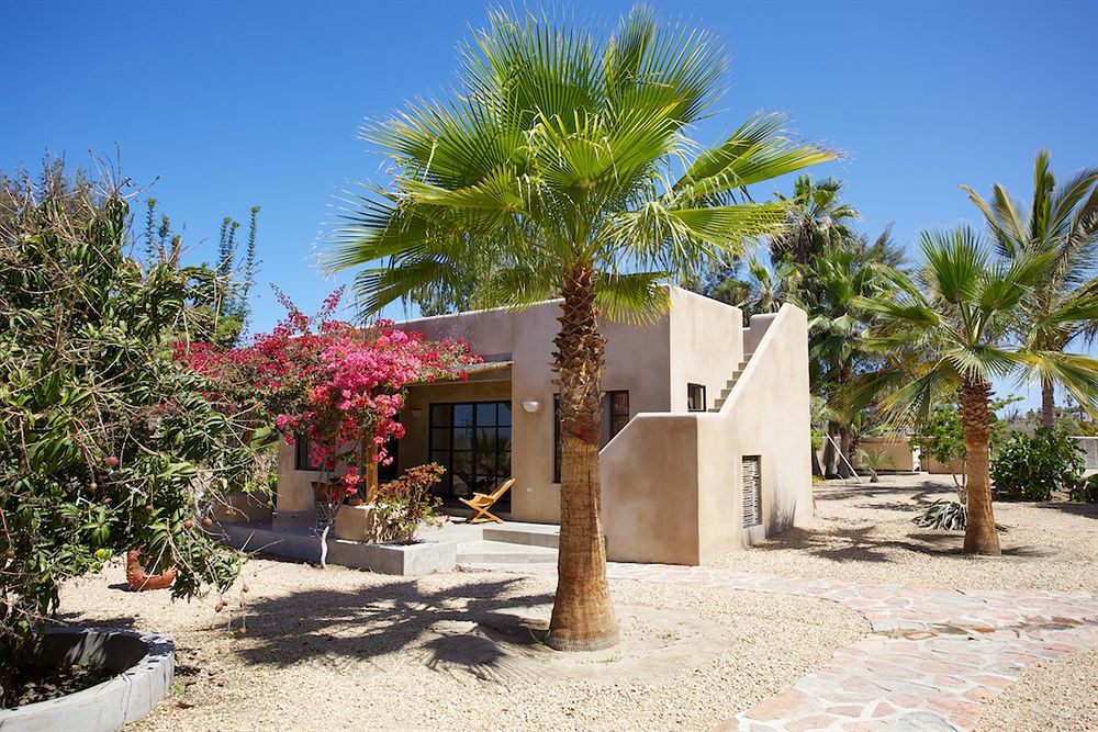 Sole Caliente Villa Todos Santos Dış mekan fotoğraf