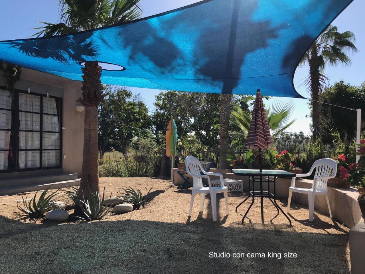 Sole Caliente Villa Todos Santos Dış mekan fotoğraf