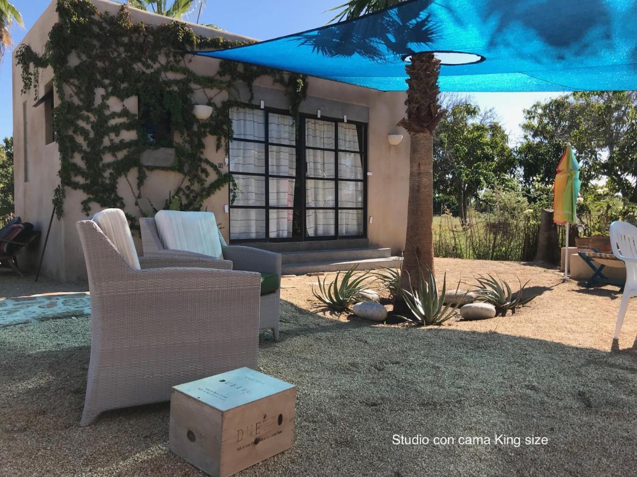 Sole Caliente Villa Todos Santos Dış mekan fotoğraf