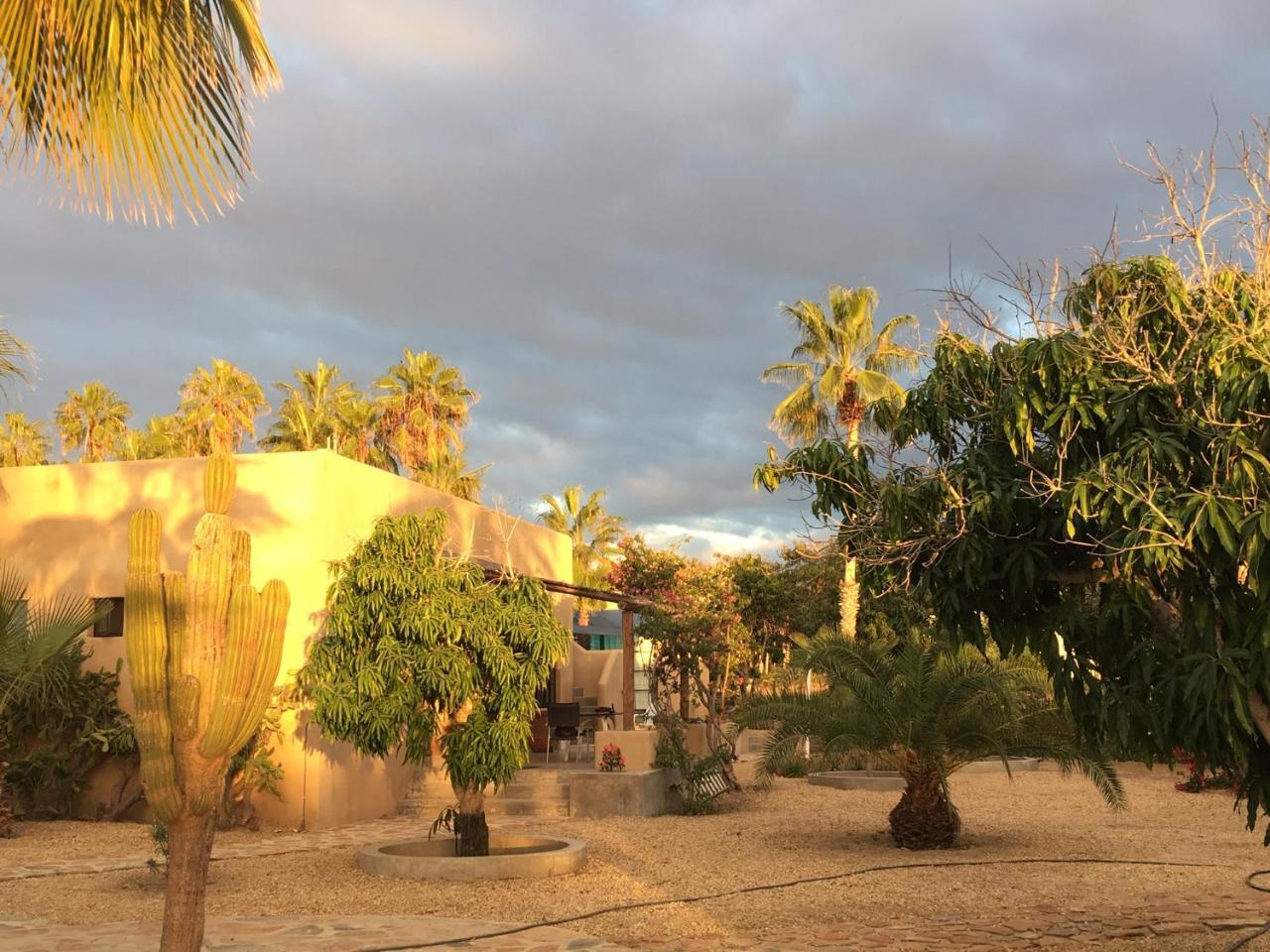 Sole Caliente Villa Todos Santos Dış mekan fotoğraf